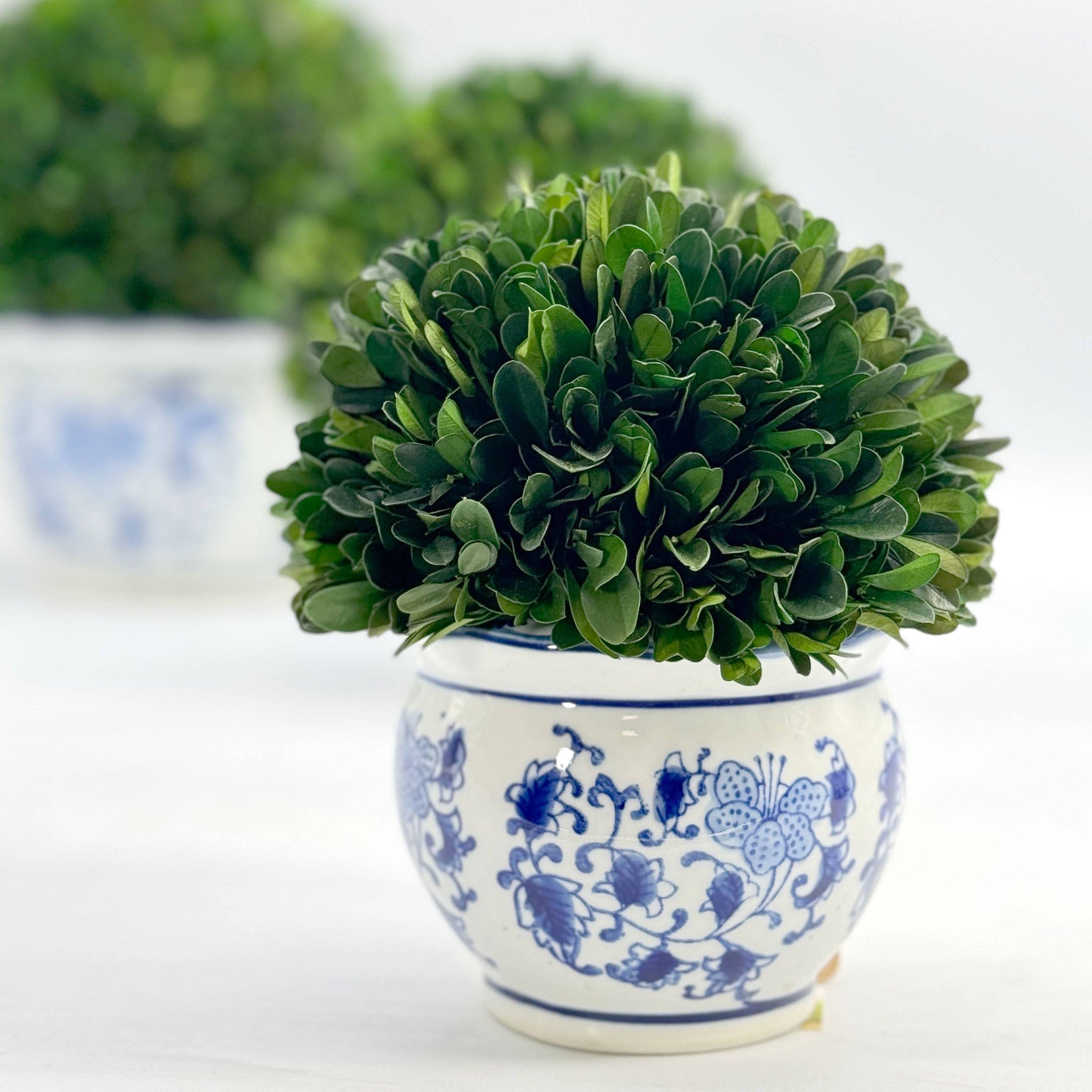 Boxwood Ball Topiary in Round Bulb Blue & White Ceramic Pot: Small